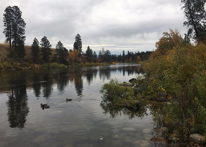 Craigslist Spokane Valley: Your Gateway to Local Treasures